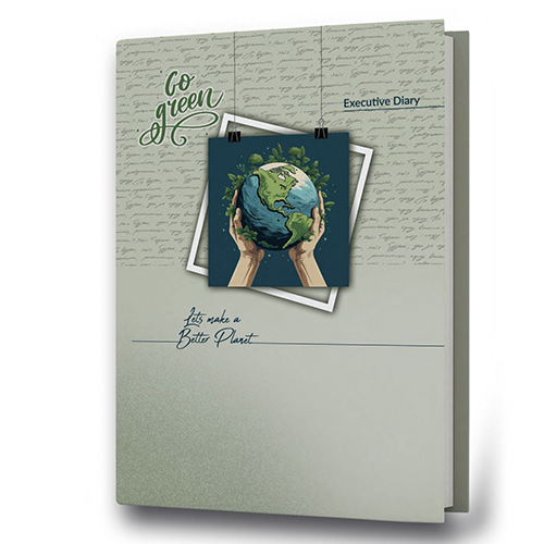 New Year Diary