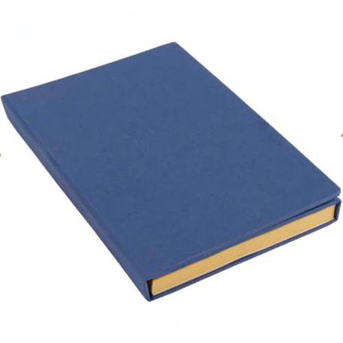 New Year Diary