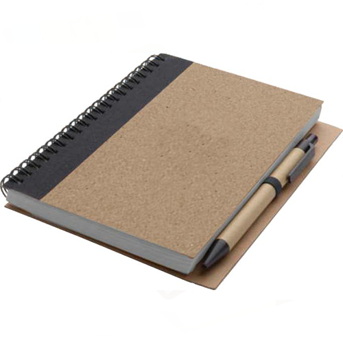 New Year Diary