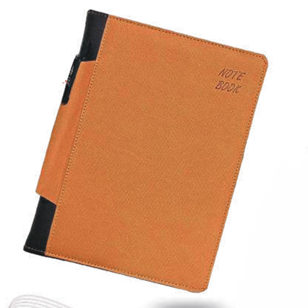New Year Diary