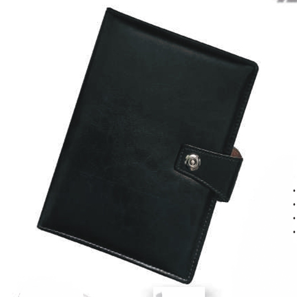 New Year Diary