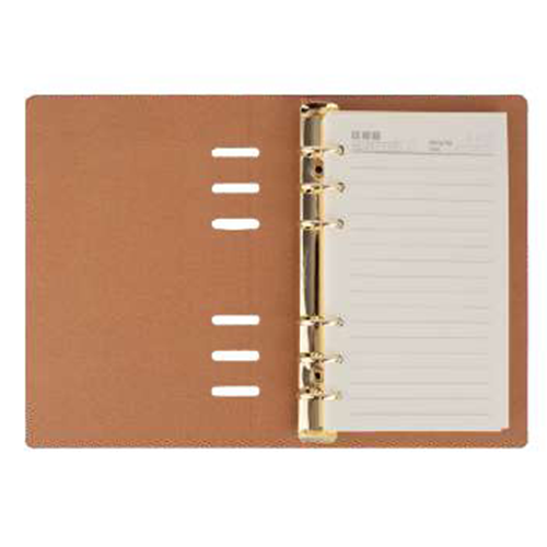 New Year Diary