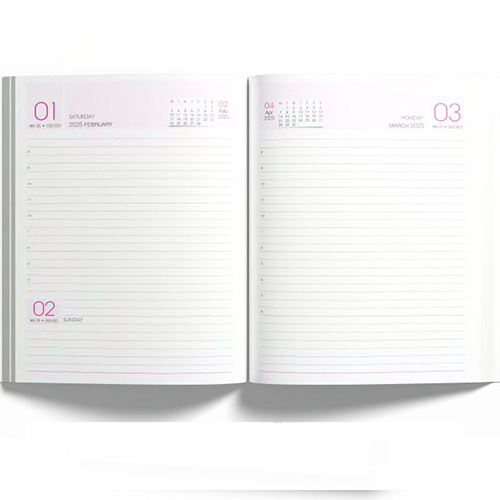 New Year Diary
