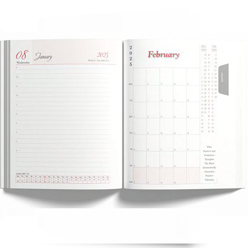 New Year Diary
