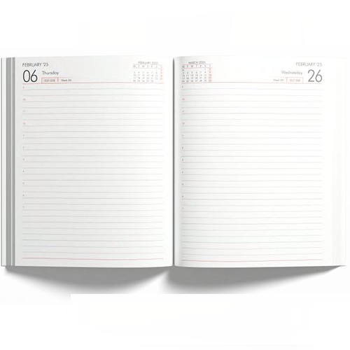 New Year Diary