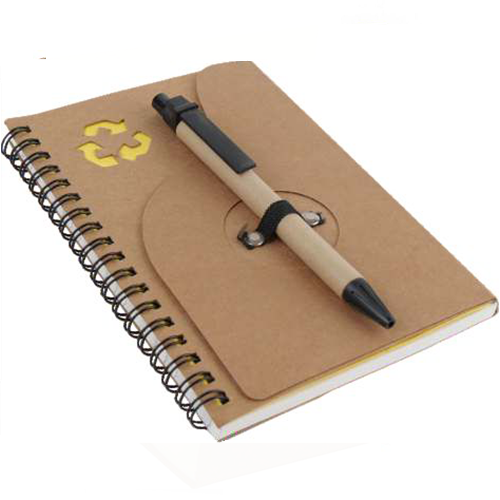 New Year Diary