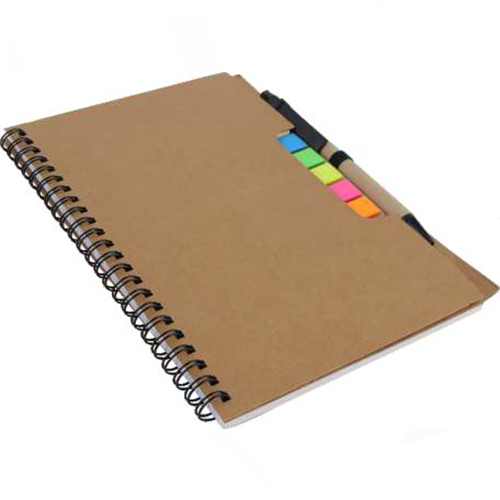 New Year Diary