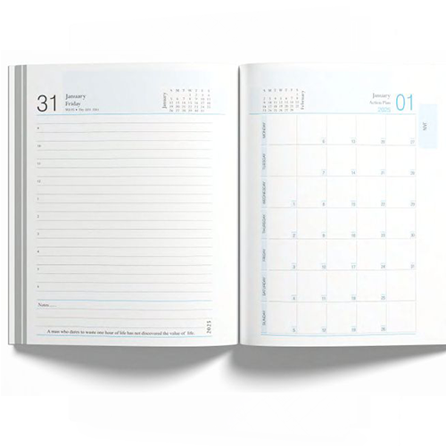New Year Diary
