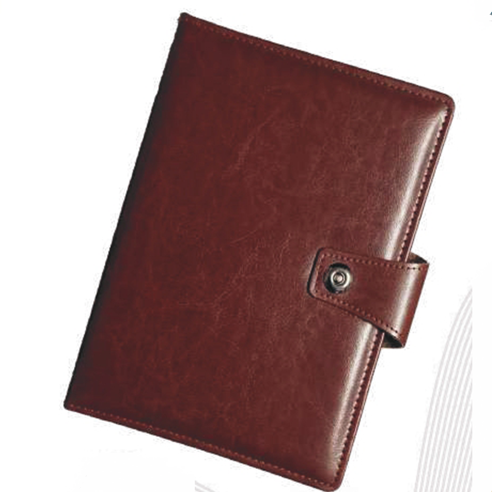 New Year Diary