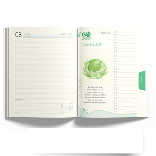 New Year Diary