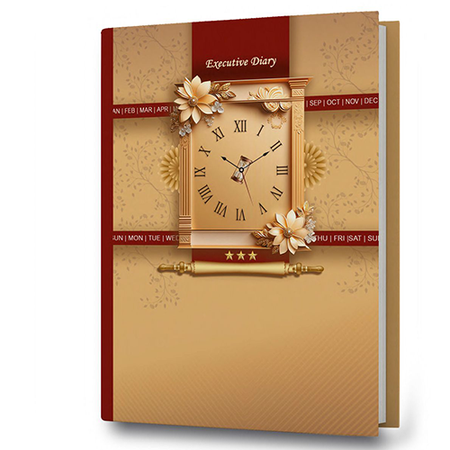 New Year Diary