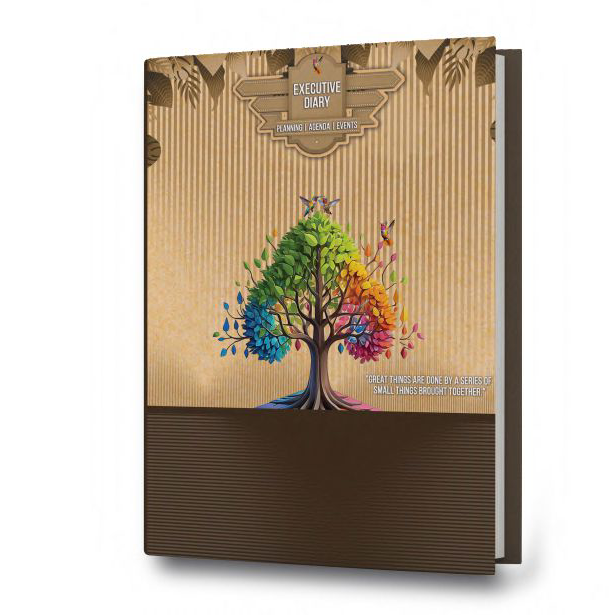 New Year Diary