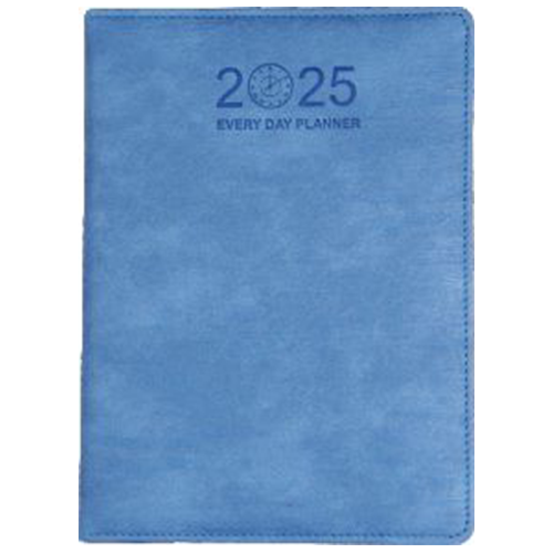 New Year Diary