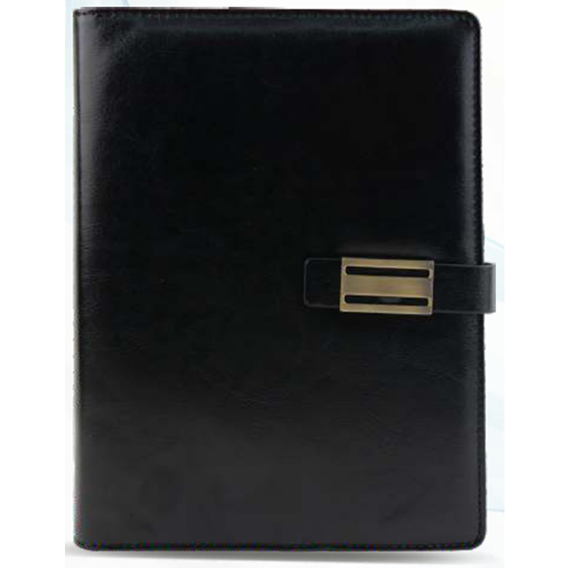 New Year Diary